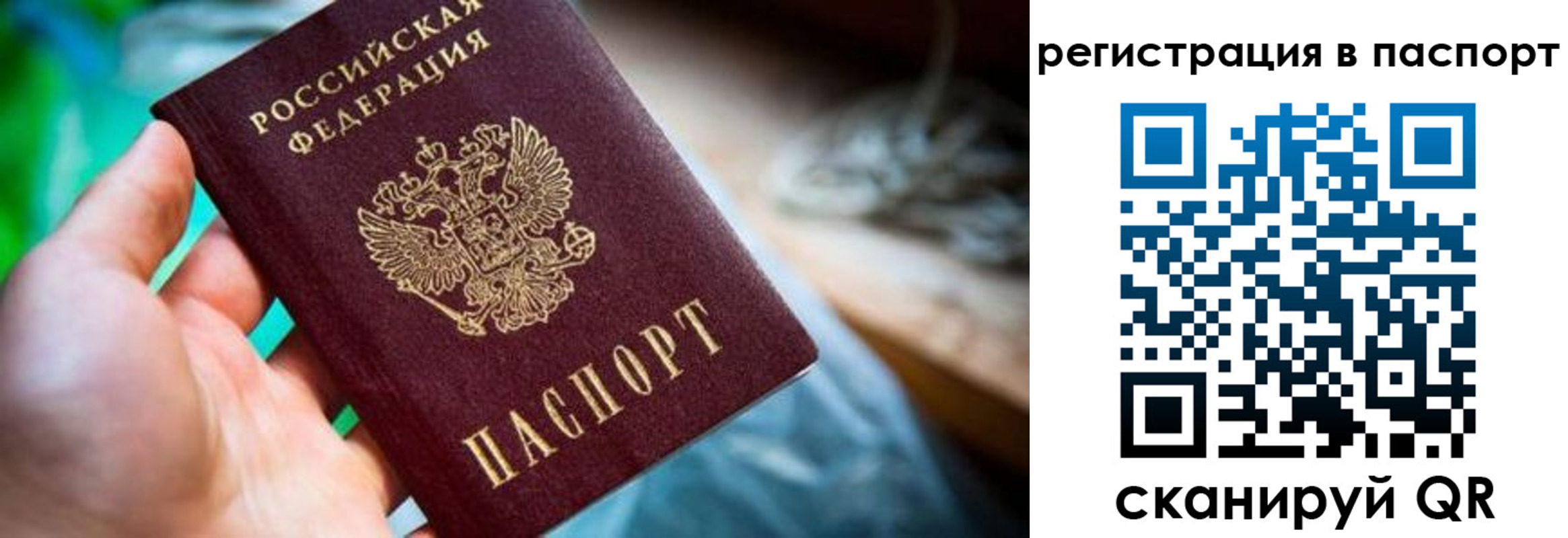 прописка регистрация в Елабуге